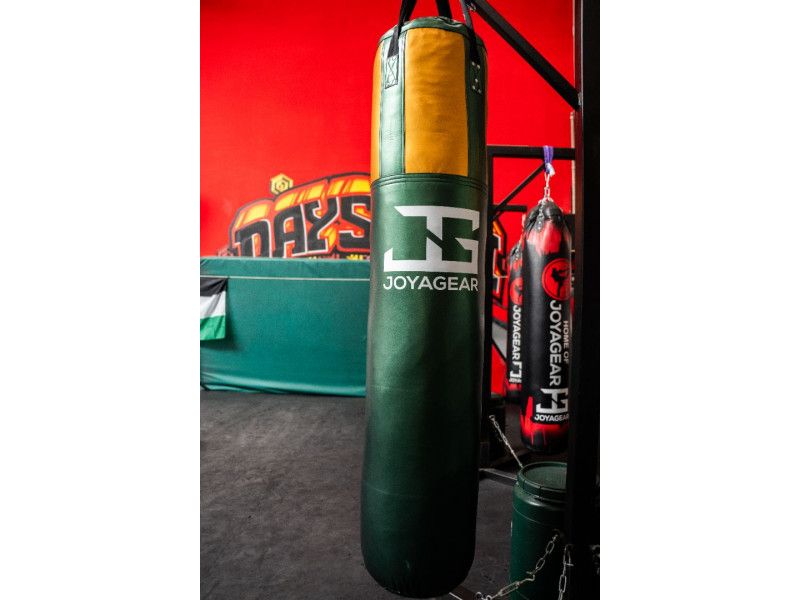 Joyagear Strike Boxing Bag Green/Gold Filled