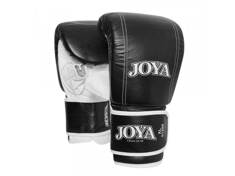 Joya "TITLE" Punching Mitt (1200)