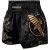 Hayabusa Falcon Muay Thai Kickboxing Shorts Black