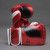 The Joyagear "Evolution"Gloves - Red-White
