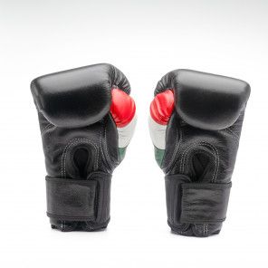 De Joyagear- kickboks handschoenen "IT100-collectie - Zwart
