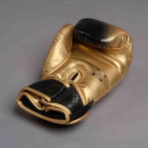 The Joyagear "Evolution" Kickbokshandschoenen - Goud/Zwart