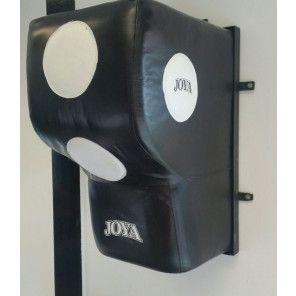 Wall Boxing bag